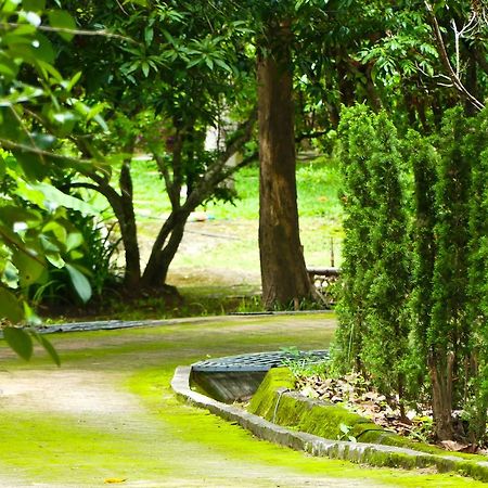 Golden Teak Homestay メーリム エクステリア 写真