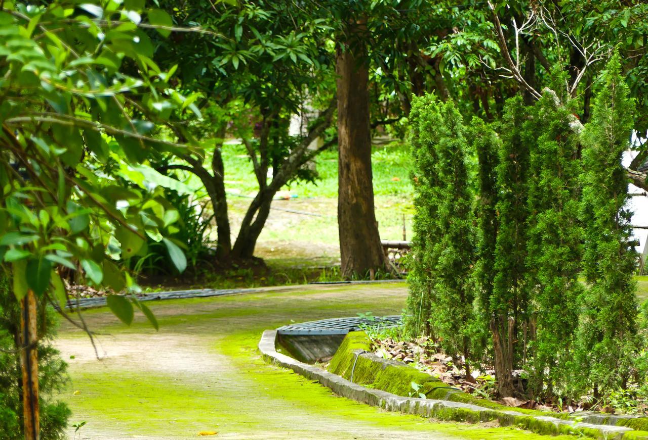 Golden Teak Homestay メーリム エクステリア 写真